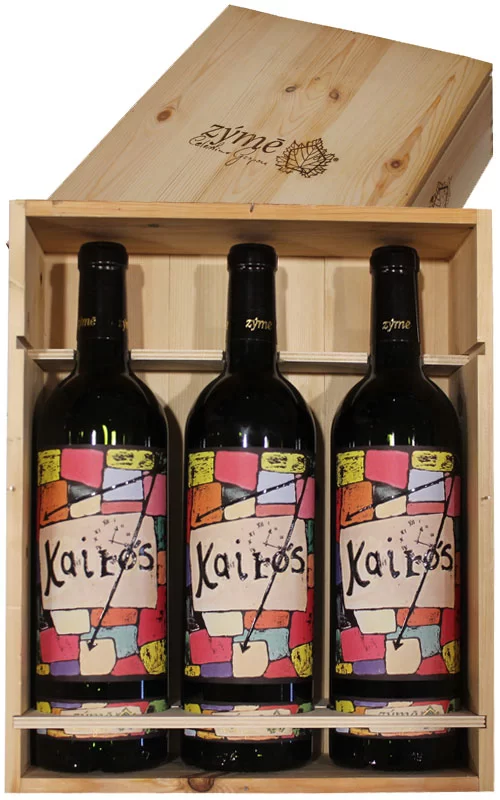 VERTICALE ZYME KAIROS 2005-2007-2009 - immagine 2